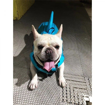 NEXORA Dog Life Jacket for Safe Swimming